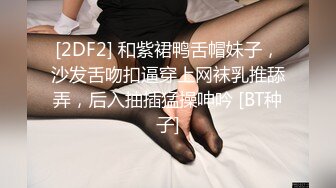 [2DF2] 和紫裙鸭舌帽妹子，沙发舌吻扣逼穿上网袜乳推舔弄，后入抽插猛操呻吟 [BT种子]