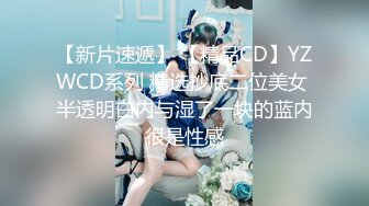 【新片速遞】 【精品CD】YZWCD系列 精选抄底二位美女 半透明白内与湿了一块的蓝内很是性感