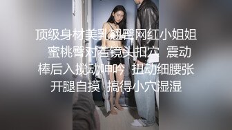 顶级身材美乳翘臀网红小姐姐  蜜桃臀对着镜头扣穴  震动棒后入搅动呻吟  扭动细腰张开腿自摸  搞得小穴湿湿