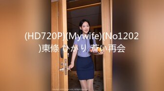 (HD720P)(Mywife)(No1202)東條 ひかり 蒼い再会