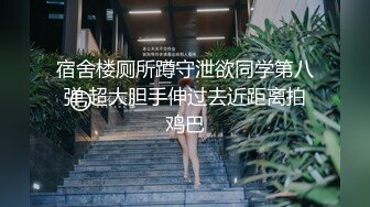 【AI换脸视频】林允儿[Yoona]空姐黑丝长腿诱惑