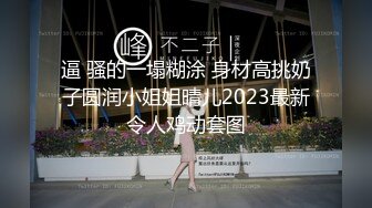 ★☆《极品CP☀️魔手☛外购》★☆价值千元巨作！商场全景4K镜头偸拍女厕各种大屁股小姐姐方便~好多气质美女撅着大腚嘘嘘好养眼 (2)