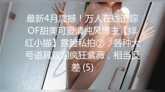 一字马女神把玩自己的小穴