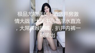 大象傳媒 DA018 異國巨乳舞娘吹笛手 孟若羽