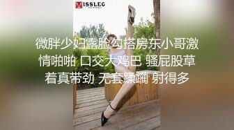 yuuhui玉汇 绝区零 -艾莲·乔