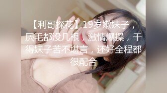 【91制片厂】91CM-246 私人玩物 第三集-高梨遥香