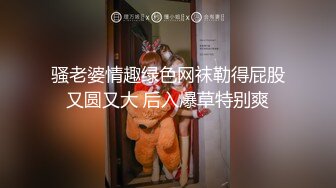 骚老婆情趣绿色网袜勒得屁股又圆又大 后入爆草特别爽