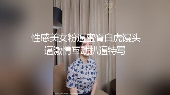 叮当小母狗