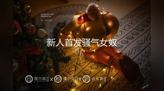 麻豆传媒 MDHT-0012《奇淫旅社》枕头山的性爱抱枕