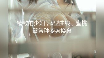 精致的少妇，S型曲线，蜜桃臀各种姿势换肏