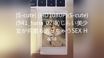 [S-cute] (HD1080P)(S-cute)(941_hana_02)恥じらい美少女が何度も逝っちゃうSEX Hana