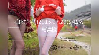 【新片速遞】麻豆传媒 MCY-0007美女相亲被下春药迷奸-苏清歌