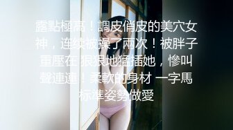 推特高颜值逆天长腿女神▌Vivian ▌南航空姐简直比空姐还有气质