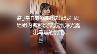 华人网黄刘玥闺蜜「Fanny Ly」「李月如」OF私拍 情趣女仆一边揉搓阴蒂一边用肉棒玩具抽插