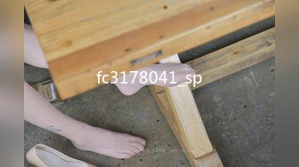 fc3178041_sp