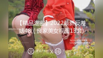 91Sison素人約啪系列第3季：度假勝地搭訕女神-下