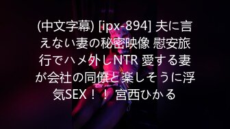 (中文字幕) [ipx-894] 夫に言えない妻の秘密映像 慰安旅行でハメ外しNTR 愛する妻が会社の同僚と楽しそうに浮気SEX！！ 宮西ひかる