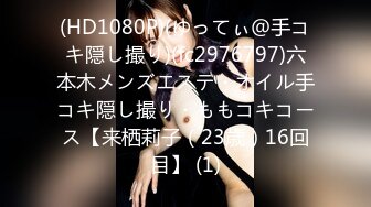 HEYZO 1540 メイどーる Vol9～ご主人様のいいなり性人形～ – 愛乃まほろ