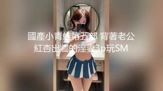 蜜桃传媒 pme-137 臣服在高冷上司的sm淫慾-吴文淇