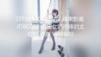 STP30530 國產AV 精東影業 JDBC031 渴望女婿肉棒的丈母娘 莉娜 VIP0600